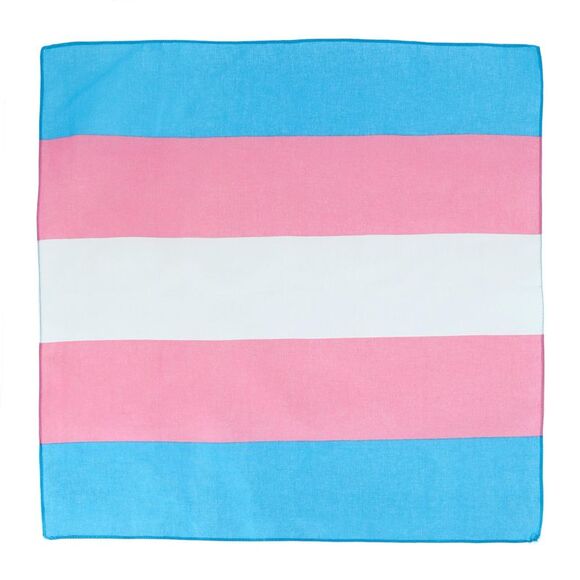 CTM Striped Trans Pride Bandana - Picture 1 of 1